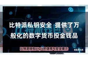 比特派私钥安全 提供了万般化的数字货币投金钱品