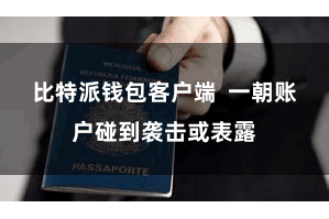 比特派钱包客户端  一朝账户碰到袭击或表露