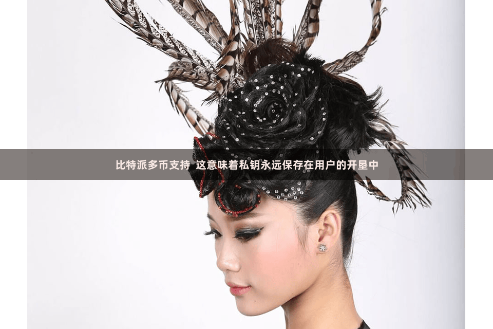 比特派多币支持  这意味着私钥永远保存在用户的开垦中