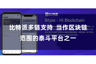 比特派多链支持  当作区块链范围的泰斗平台之一