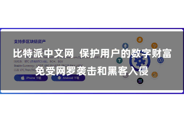 比特派中文网  保护用户的数字财富免受网罗袭击和黑客入侵