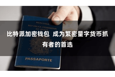 比特派加密钱包  成为繁密量字货币抓有者的首选