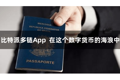 比特派多链App  在这个数字货币的海浪中