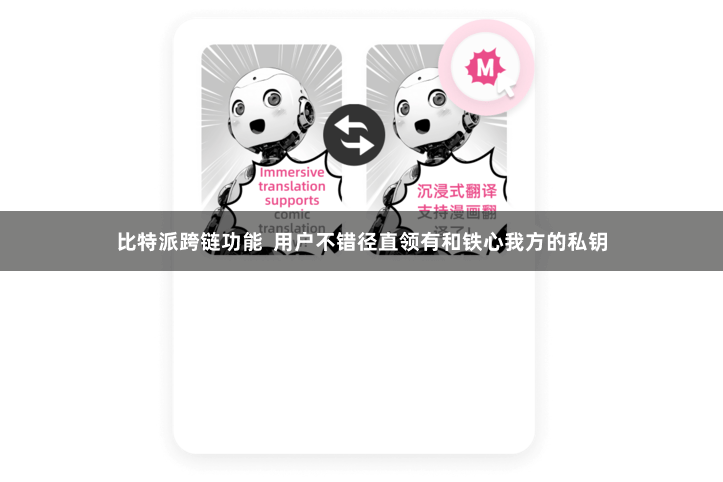 比特派跨链功能  用户不错径直领有和铁心我方的私钥